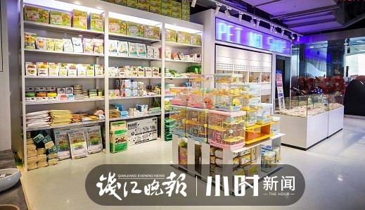 各位铲屎官，过年家里的萌宠安排好了吗？杭州宠物店宠物寄养多已爆满