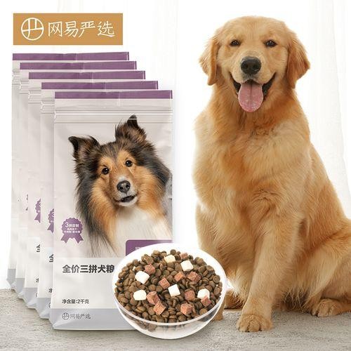 柴犬吃什么品牌的狗粮好推荐一下