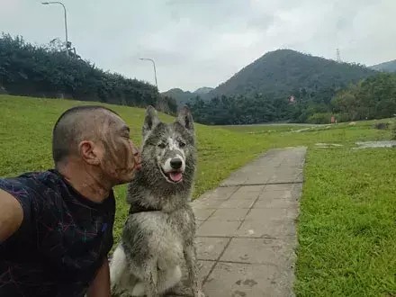 去宠物店给狗洗澡，宠物主再忙也要在外面看着